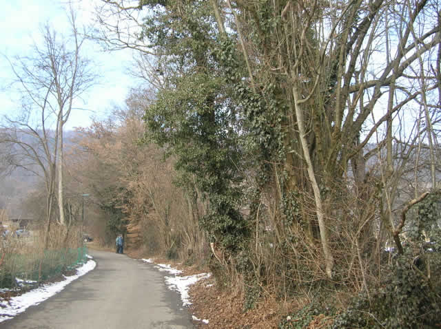 pflege06b
