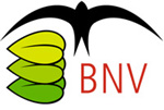 logo bnv