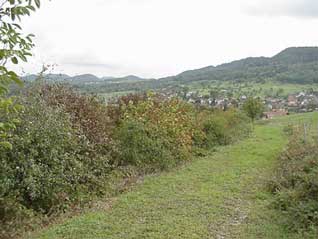 ma016