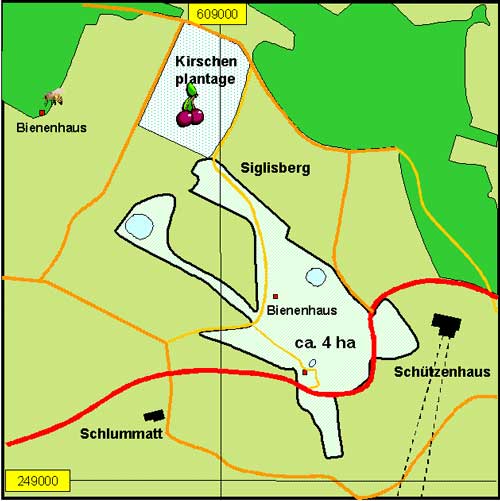 riedgraben