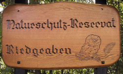 riedgrabentafel