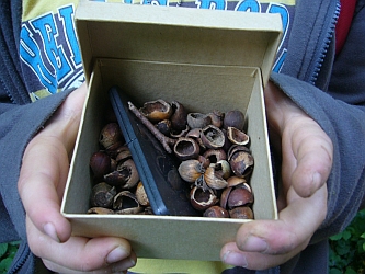 Bild3