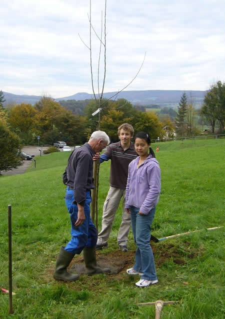 at2006 i