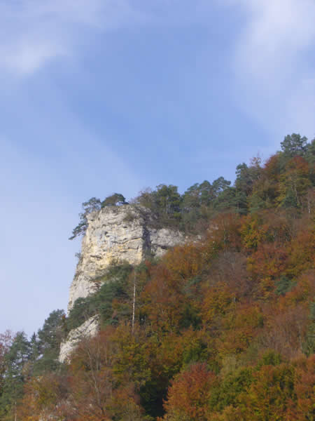 at2006 w