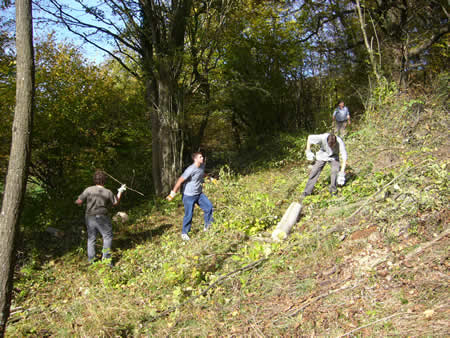 natuschutztag2005 02