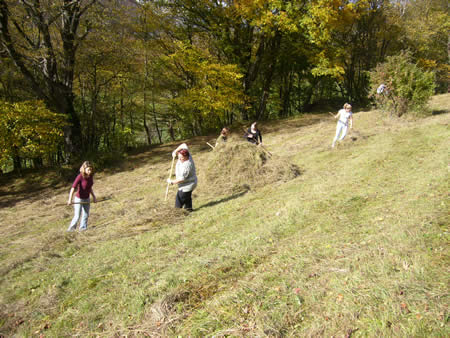 natuschutztag2005 04