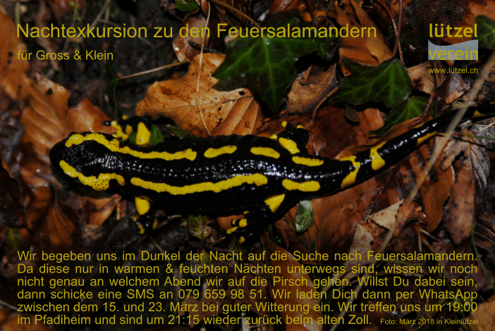 EinladungWeb