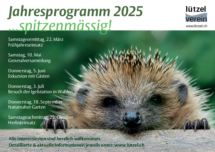 Jahresprogramm2025