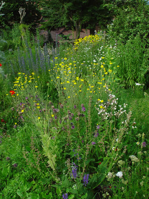 elgarten01