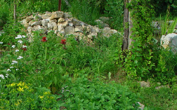 elgarten02