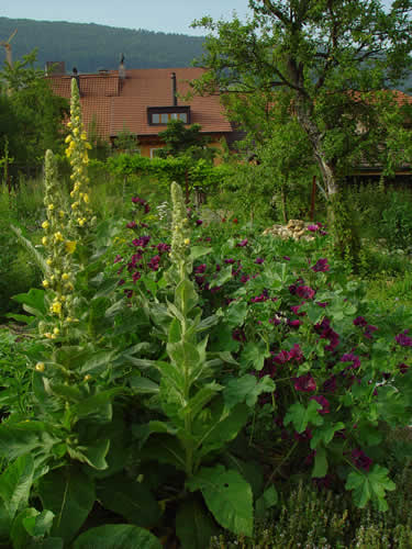 elgarten03