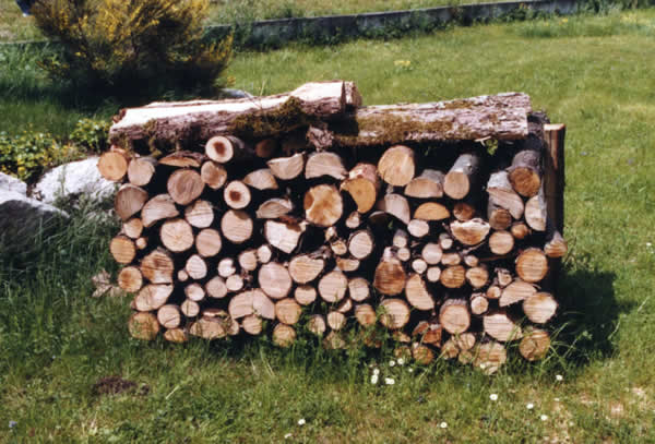 elgarten04