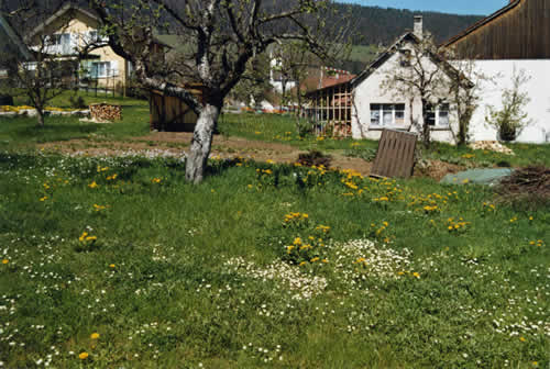 elgarten11