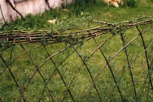 elgarten14