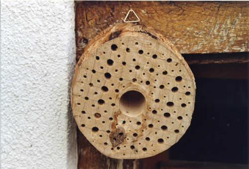elgarten36