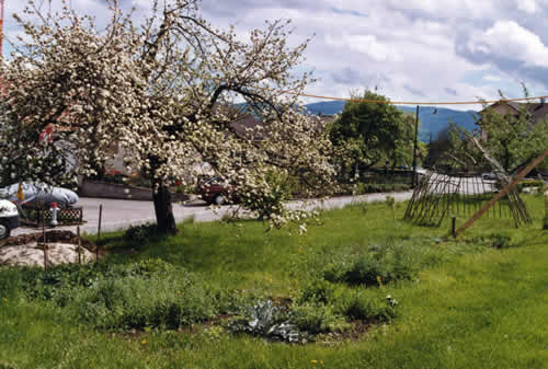 elgarten39