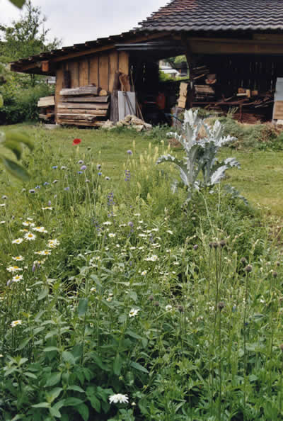 elgarten40