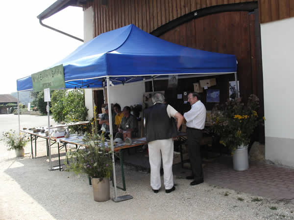 elgarten50