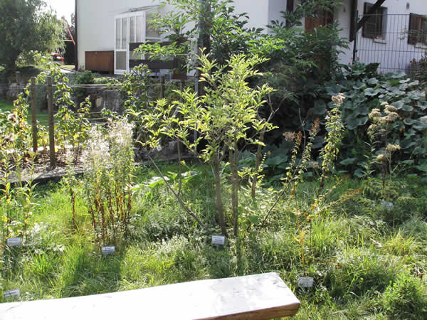 elgarten54