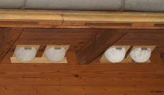 mehlschwalben