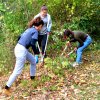 Arbeitstag 2018 Herbst