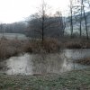 Riedgraben 1.12.2013