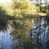 01 Weiher in der Blütezeit seines "Lebens" Herbst 2004