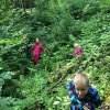 Neophytenarbeitstag 2017