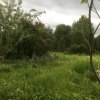 Besuch Naturgarten
