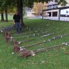 140 Hochstämmer für die Biodiversität
