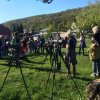 Stunde Gartenvögel 5.Mai 2017