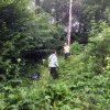 Neophytentag 29. Juni 2017