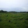 PCA - "Wilde Landschaft"