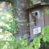 Exkursion 30.4. Erschwil