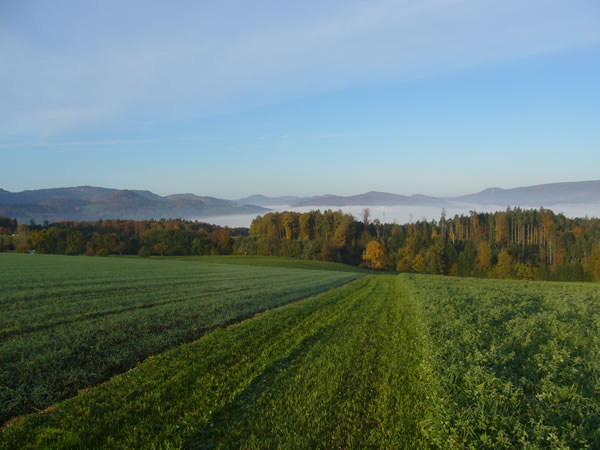 Breitenbach rueti