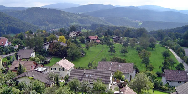 Picus Hi Dorf3
