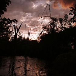 Gartenteich